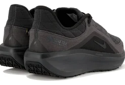 Air Winflo 11 Gore-Tex femme