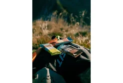 Barre énergétique BIO - Mangue goji