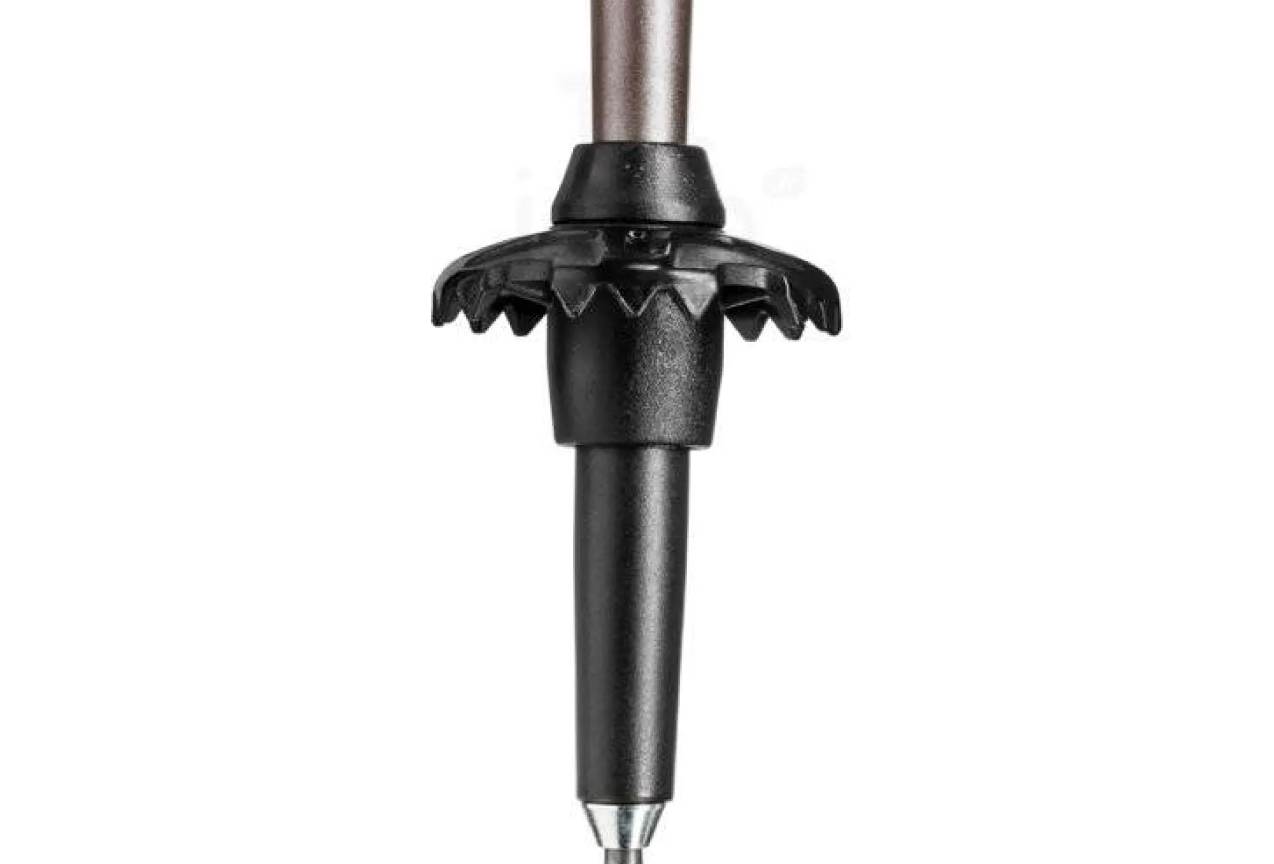 Cressida FX Carbon W femme