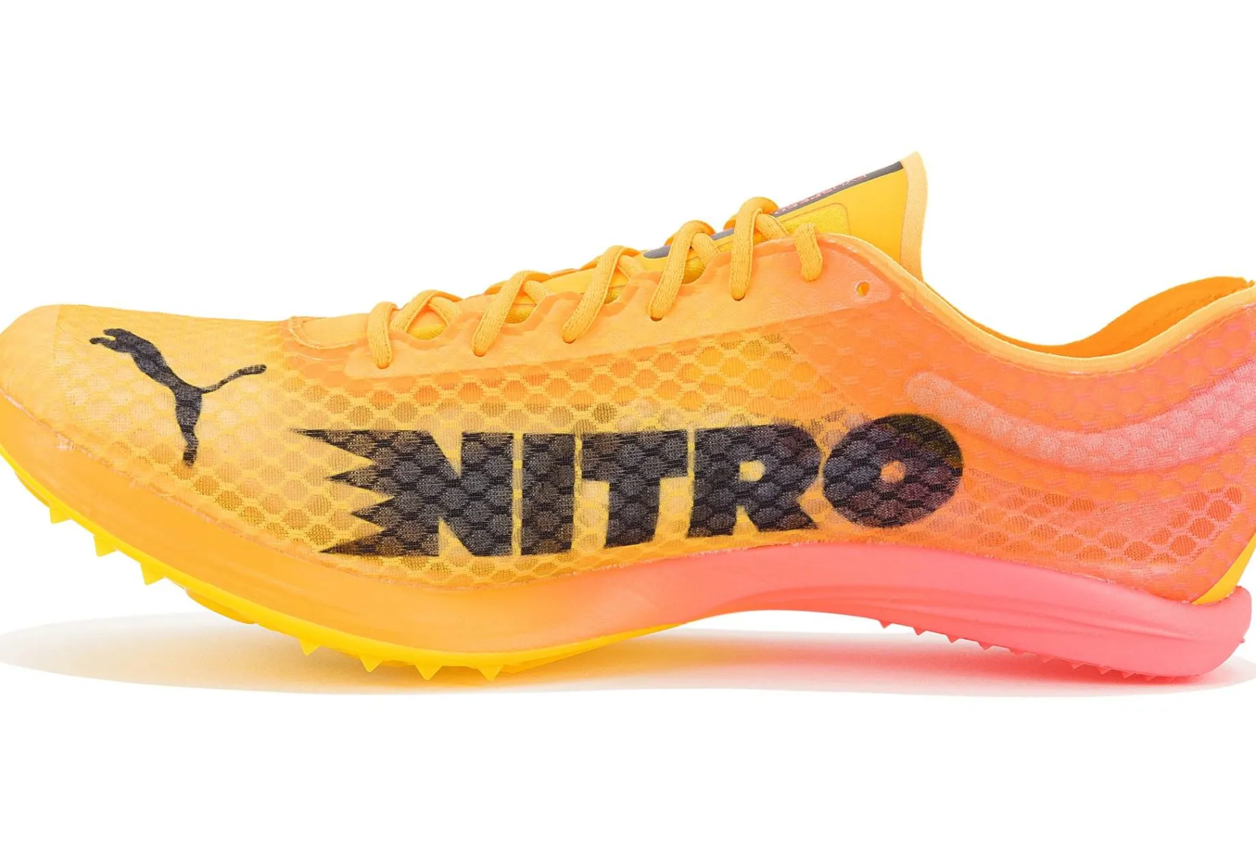 evoSPEED Distance Nitro Elite+ 4 W femme