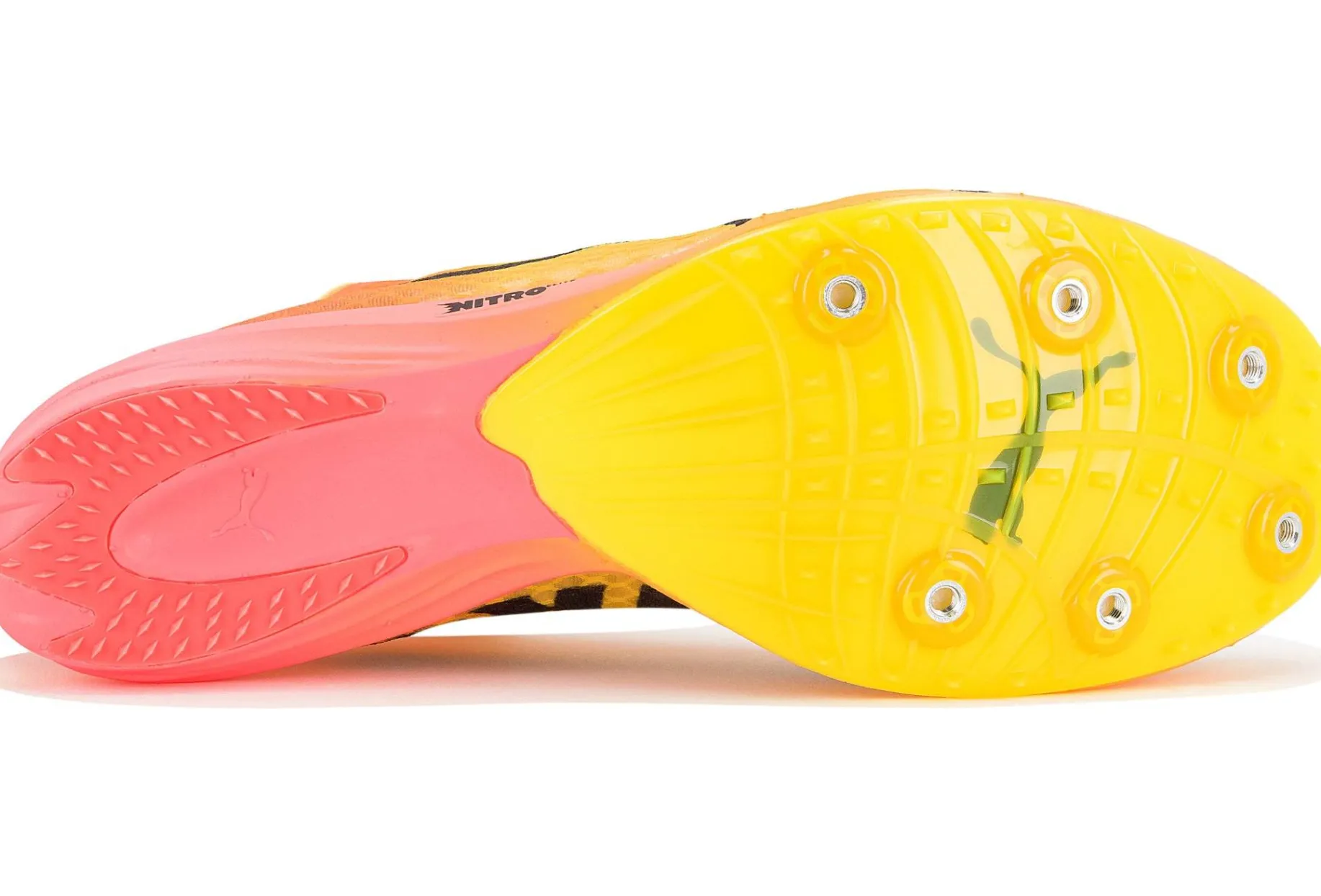 evoSPEED Distance Nitro Elite+ 4 W femme