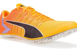 evoSPEED Tokyo Brush 4 M