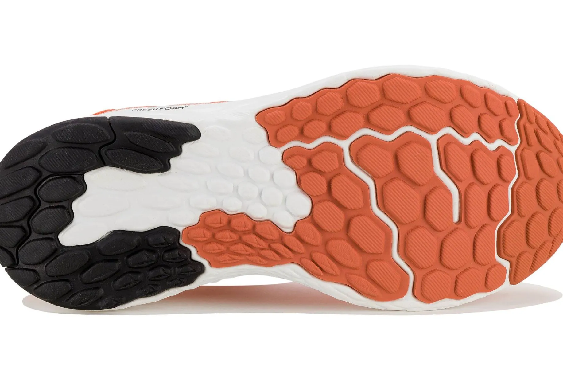 Fresh Foam X EVOZ v4 femme