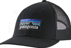 P-6 Logo LoPro Trucker
