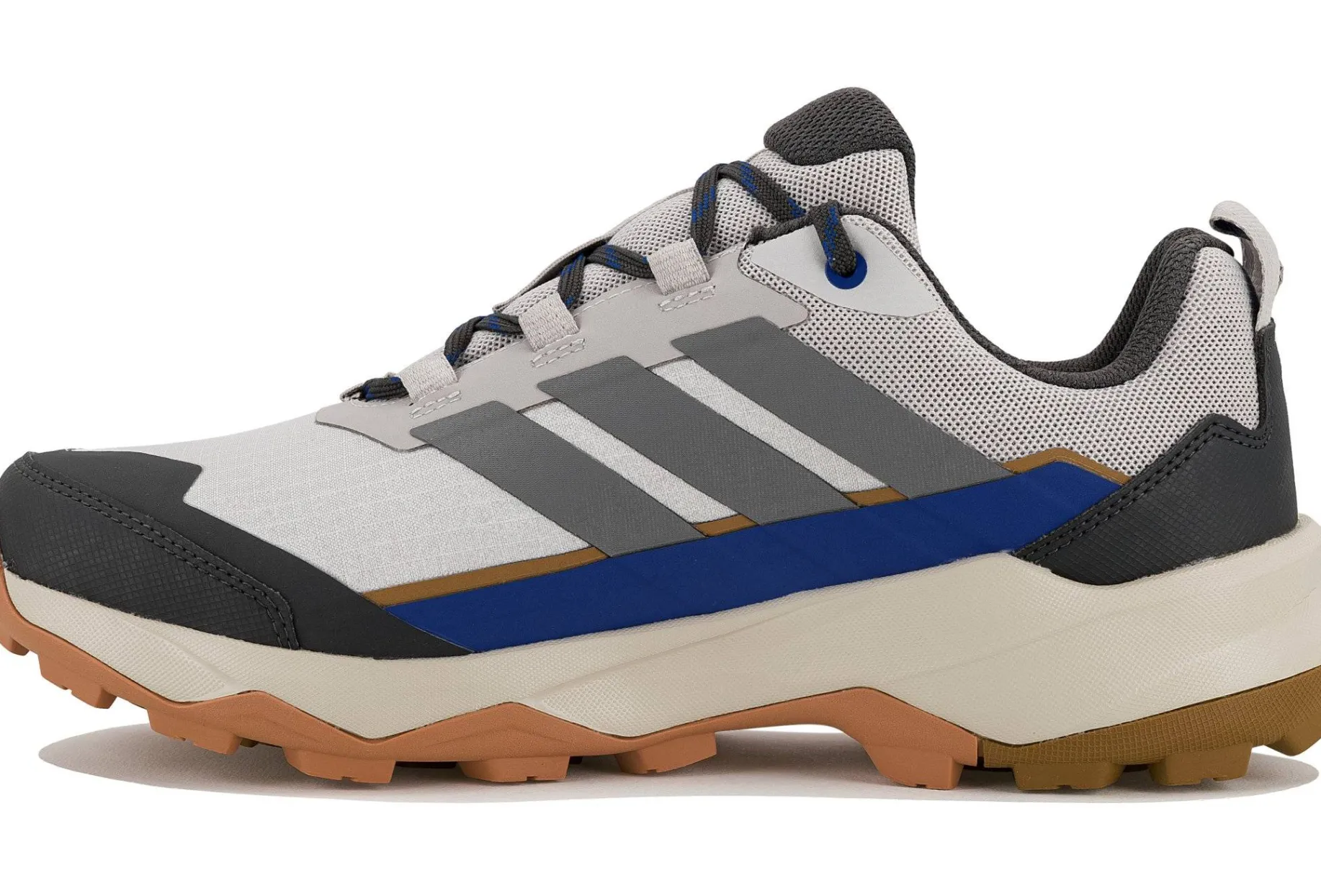 Terrex Skychaser AX5 Gore-Tex