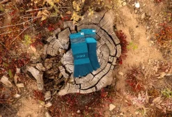 Trail Midweight Mini-Crew